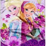 Disney Frozen Celebrate Love Micro Raschel Throw by The Northwest Company, 46 by 60-Inch