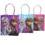 Disney Frozen Party Favor Goodie Small Gift Bags 12