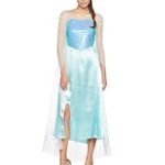 Disney Disguise Women’s Frozen Elsa Deluxe Costume, Light Blue, X-Large/18-20