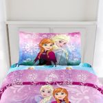 N2 2 Piece Kids Girls Purple Pink Teal Blue Elsa Comforter Twin Set, Disney Princess Frozen Bedding Anna Florals Scrolls Snowflake Pattern White White, Reversible Polyester