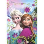 Loot Bags | Disney Frozen Collection | Party Accessory