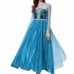 Peachi Halloween Adult Dress Costume Inspired by Disney Frozen Queen Elsa (M)