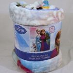 Disney Frozen Sister Seasons 40×50 Royal Plush Raschel Throw