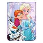 Disney’s Frozen, “Snow Hugs” Micro Raschel Throw Blanket, 46″ x 60″, Multi Color