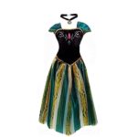 Big-On-Sale Princess Adult Women Girls Anna Elsa Coronation Dress Costume Cosplay (M Size for US 6-8) Green