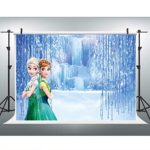 Elsa and Anna Princess Photography Backdrop Happy Birthday for Girls Party Customized Vinyl Photo Background 7x5ft Wonderland Frozen Photo Background Kids