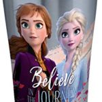 Tervis 1339672 Disney Frozen 2 Anna Elsa Journey Insulated Travel Tumbler & Lid, 20 oz, Silver