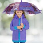 Disney Girl Disney Kids Slicker, Frozen Elsa Anna Toddler Little Girl Rain Wear Set, for Ag Slicker and Umbrella, Blue Purple, 4-5T US