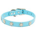 Buckle-Down Dog Collar, Disney Frozen Movie, Frozen Snowflake Charms, Medium 12-16 Inch Length 0.75 Inches Wide