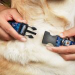 Buckle-Down Plastic Clip Collar – Frozen Olaf Poses/Snowflakes Blues – 1″ Wide – Fits 11-17″ Neck – Medium