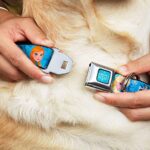 Buckle-Down Seatbelt Buckle Dog Collar – Frozen Character Poses Blues – 1″ Wide – Fits 15-26″ Neck – Large