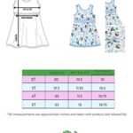Disney Frozen Toddler Girls Fit and Flare Ultra Soft Dress (5T, Blue)
