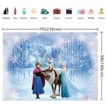 Frozen Ice World Princess Backdrop Winter Frozen Birthday Party Decoration Winter Children Photography Backdrop (7x5FT)