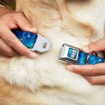 Buckle-Down Seatbelt Buckle Dog Collar – Anna & Elsa Poses/Castle & Mountains Blues – 1″ Wide – Fits 11-17″ Neck – Medium
