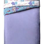 Jay Franco Disney Frozen 2 Sister Dots Twin Comforter, Blue