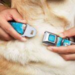 Buckle-Down Seatbelt Buckle Dog Collar – Frozen Elsa Face/Action Pose/Snowflakes Blues/White – 1″ Wide – Fits 11-17″ Neck – Medium