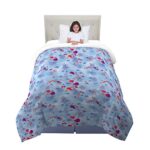 Franco – NL1598 Kids Bedding Super Soft Microfiber Reversible Comforter, Twin/Full Size 72″ x 86″, Disney Frozen 2