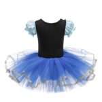 Dressy Daisy Princess Ballet Leotards Tutu Dress for Toddler Girls Ballerina Outfits Dance Costume Dancewear with Tulle Skirt Size 3T 4T Dark Blue 075