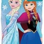 Jay Franco Disney Frozen Sparkle Slumber Sack – Cozy & Warm Kids Lightweight Slumber Bag/Sleeping Bag – Featuring Anna and Elsa (Official Disney Product)