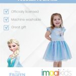 Disney Frozen Elsa Princess Anna Toddler Girls Tulle Dress Blue Ombre 4T