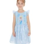 Disney Frozen Toddler Girl Dress Elsa Print Tulle Summer Clothes Flutter-Sleeve Floral Embroidery Outfit Party Birthday Sundress Blue 4-5T