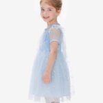 Disney Frozen Dress Elsa Dress for Girls Sparkle Tulle Ruffle Dresses for Toddler Girls Casual Toddler Dresses Blue Dress 3-4T