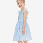 Disney Frozen Toddler Girl Dress Elsa Print Tulle Summer Clothes Flutter-Sleeve Floral Embroidery Outfit Party Birthday Sundress Blue 3-4T