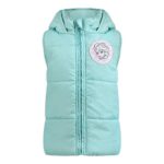 Disney Frozen Elsa Girls Long Sleeve Shirt, Vest and Legging Pants Set for Toddler and Little Kids