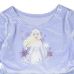 Disney Frozen Toddler Girls’ Elsa The Snow Queen Velvet Tiered Tulle Tutu Dress (4T)