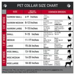 Buckle-Down Martingale Dog Collar – Anna & Hans/Anna & Kristoff Poses – 1″ Wide – Fits 11-17″ Neck Size – Medium